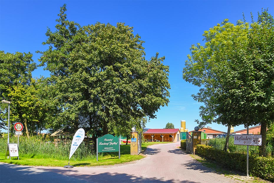 Foto aus der Fotogruppe 